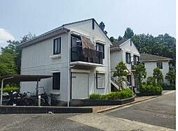 ベイフィオーレ