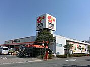 オザムバリュー野上店 徒歩15分。スーパー 1140m
