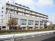 ケーヨーデーツー 550m