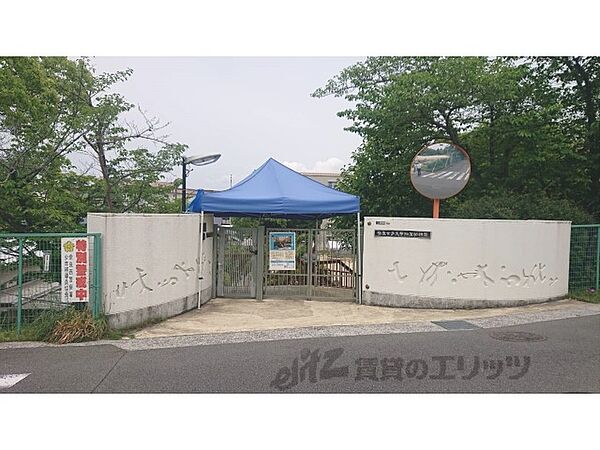 画像10:奈良女子大学附属幼稚園まで230メートル