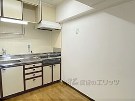 WELFARE NARA 302 ｜ 奈良県奈良市東城戸町（賃貸マンション3LDK・3階・54.02㎡） その19