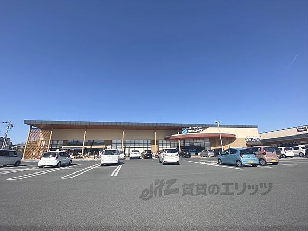 奈良県大和高田市築山(賃貸マンション3LDK・4階・63.17㎡)の写真 その24