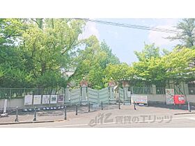 奈良県奈良市奈良市法連町（賃貸アパート1K・2階・24.27㎡） その7