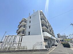 アルファプレイス