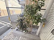 植栽
