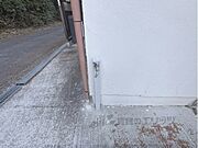 蛇口