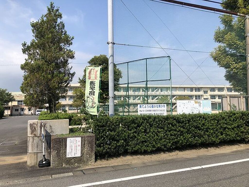 Image 12