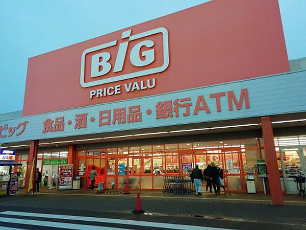 画像29:【スーパー】The Big(ザ・ビッグ) 多度津店まで2375ｍ