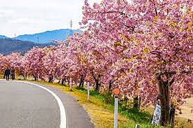 アーバンフラット・白鳥Ａ 201 ｜ 香川県東かがわ市白鳥816番地1（賃貸アパート2LDK・2階・57.96㎡） その23