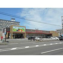 レオパレスブルーマリンII 102 ｜ 香川県高松市新北町（賃貸アパート1K・1階・19.00㎡） その18