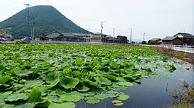 グランシャリオ 105 ｜ 香川県丸亀市飯野町東分1210-1（賃貸アパート1K・1階・29.75㎡） その27