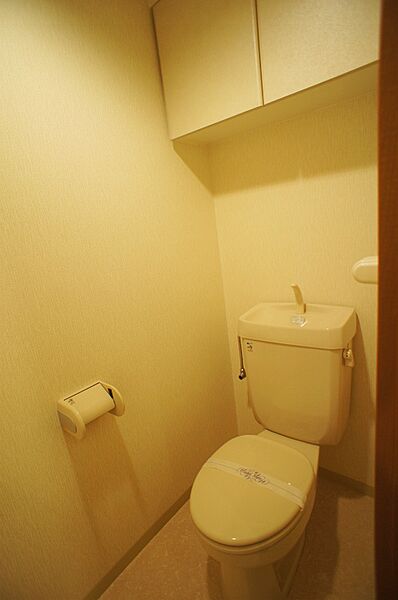 画像8:落ち着いたトイレです
