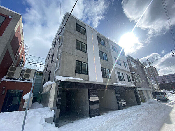 RESIDENCE SHINMEI NANGOU ｜北海道札幌市白石区本郷通13丁目南(賃貸マンション2LDK・4階・50.24㎡)の写真 その1