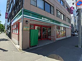 オルムドグランメール大通  ｜ 北海道札幌市中央区大通西17丁目（賃貸マンション1LDK・7階・39.57㎡） その28