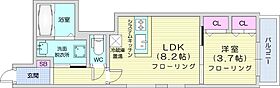 ラグゼ北大前  ｜ 北海道札幌市北区北十七条西3丁目（賃貸マンション1LDK・3階・31.62㎡） その2