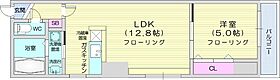 アリスマナーBLD  ｜ 北海道札幌市中央区北三条東2丁目（賃貸マンション1LDK・9階・38.96㎡） その2