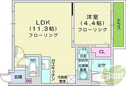 ライトベル北20条 1LDKの間取図画像