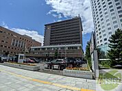 札幌市中央区役所 1997m
