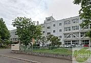 札幌市立みどり小学校 1019m