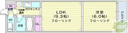 メープル南16条 1LDKの間取図画像
