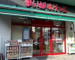 セ　ジョリ　南品川 305 ｜ 東京都品川区南品川４丁目10-1（賃貸マンション1K・3階・25.26㎡） その18