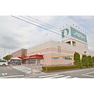 スーパー「ヤマナカ　パディー店まで535ｍ」