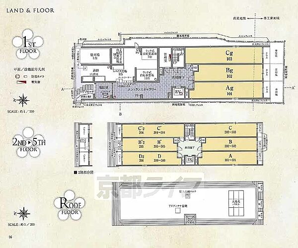 ベラジオ雅び北野白梅町 304｜京都府京都市上京区西町(賃貸マンション1LDK・3階・38.32㎡)の写真 その7