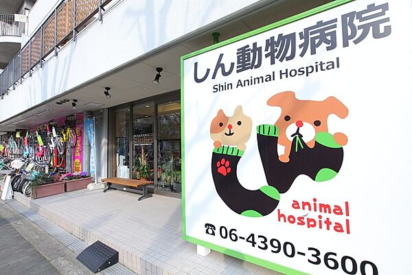 画像30:【動物病院】しん動物病院まで357ｍ