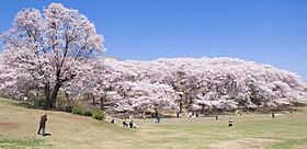 サンライズパーク山手  ｜ 神奈川県横浜市中区山元町5丁目（賃貸アパート1R・1階・16.02㎡） その19