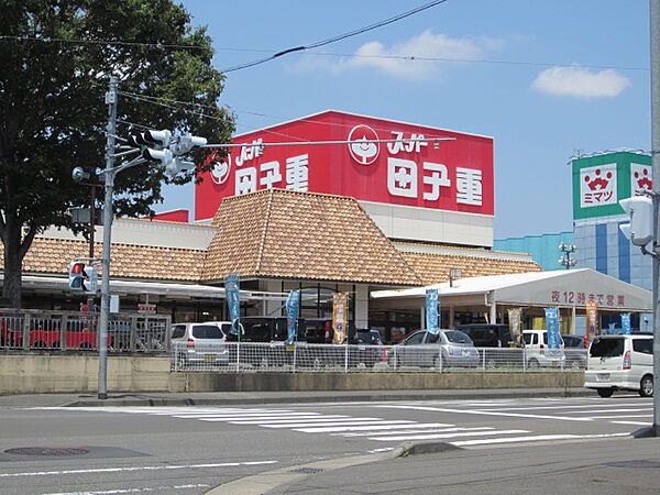 画像16:スーパー田子重 下川原店（925m）