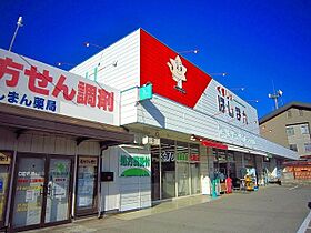 メゾン．ル．ファミル 205 ｜ 長野県佐久市下小田切（賃貸アパート2LDK・2階・62.28㎡） その17