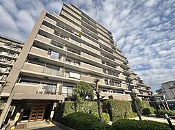 アメニクス川口