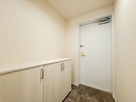 【玄関】玄関はおうちの顔と言われます。玄関アプローチは、外観デザインの印象を左右します。ご家族の個性を出しながら、素敵な玄関でお客様をお迎えしてください。