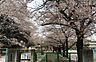 周辺：小学校 430m さいたま市立大砂土東小学校