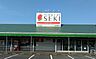 周辺：ドラッグストア 700m ドラッグストアセキ 新善町店
