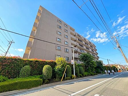 家の前をまっすぐの通りが走っている。クルマは少なく、人々は毎朝、ウォーキング、ジョギング、犬の散歩など、フリーな朝時間を過ごしている。