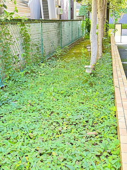 【中庭(パティオ)】お手入れが行き届いた中庭が季節を彩ります。