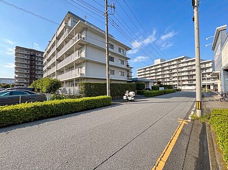 【前面道路】家の前をまっすぐの通りが走っている。クルマは少なく、人々は毎朝、ウォーキング、ジョギング、犬の散歩など、フリーな朝時間を過ごしている。