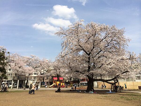 パークアクシス滝野川ラ　ブリーズ 102｜東京都北区滝野川6丁目(賃貸マンション1K・1階・28.89㎡)の写真 その22