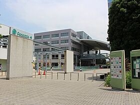 ライオンズマンション駒込駅前 804 ｜ 東京都豊島区駒込1丁目（賃貸マンション1R・8階・16.20㎡） その11