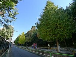 【公園】志村城山公園まで256ｍ
