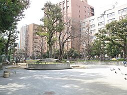【公園】お茶の水公園まで432ｍ