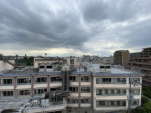 レスピール蓮根