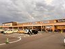 周辺：万代松原田井城店 徒歩8分。 600m