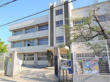 富田林市立第一中学校 徒歩5分。 380m
