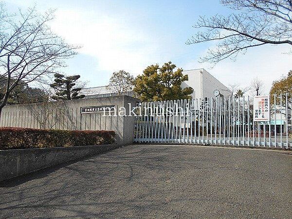 周辺を拡大表示
