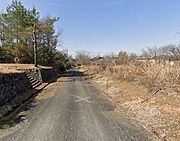 前面道路（東側から西側を見る）
