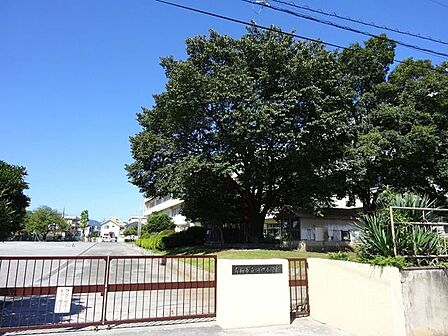 青梅市立河辺小学校愛鳥博士 河辺小ドリルと独自の教育を行う 「ことばときこえの教室」併設 学童保育は学校内に併設 600m