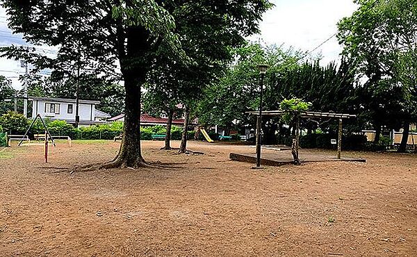 周辺を拡大表示