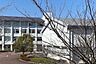 周辺：八王子市立　下柚木小学校教育目標　「自立・共生」よく考える子(知)思いやりのある子(徳)たくましい子(体)＜みんなのきまり＞協力しあう生活、けじめのある生活、気持ちのよい生活 1200m